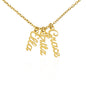 Personalized Name Necklace for Grandma who has everything | Cherished Keepsake Sentimental gift for your Grandmother | The Best Grandkids