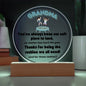 Grandparent day Gift for Nana | Thoughtful Cute present for Grammy who has everything | LED Acrylic Plaque | A Place to Land