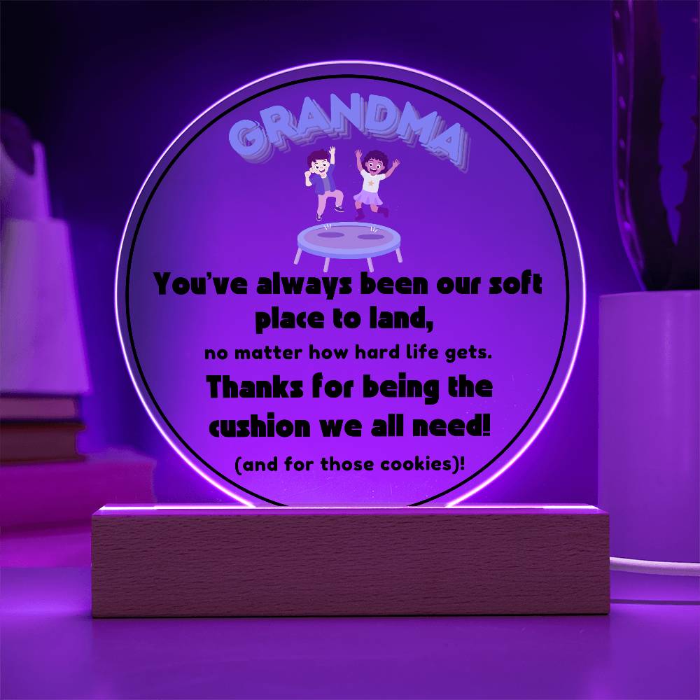 Grandparent day Gift for Nana | Thoughtful Cute present for Grammy who has everything | LED Acrylic Plaque | A Place to Land