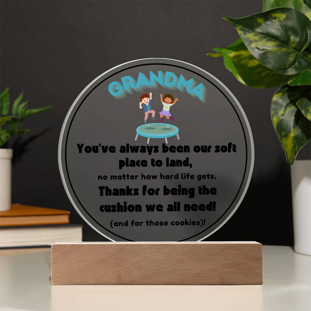Grandparent day Gift for Nana | Thoughtful Cute present for Grammy who has everything | LED Acrylic Plaque | A Place to Land