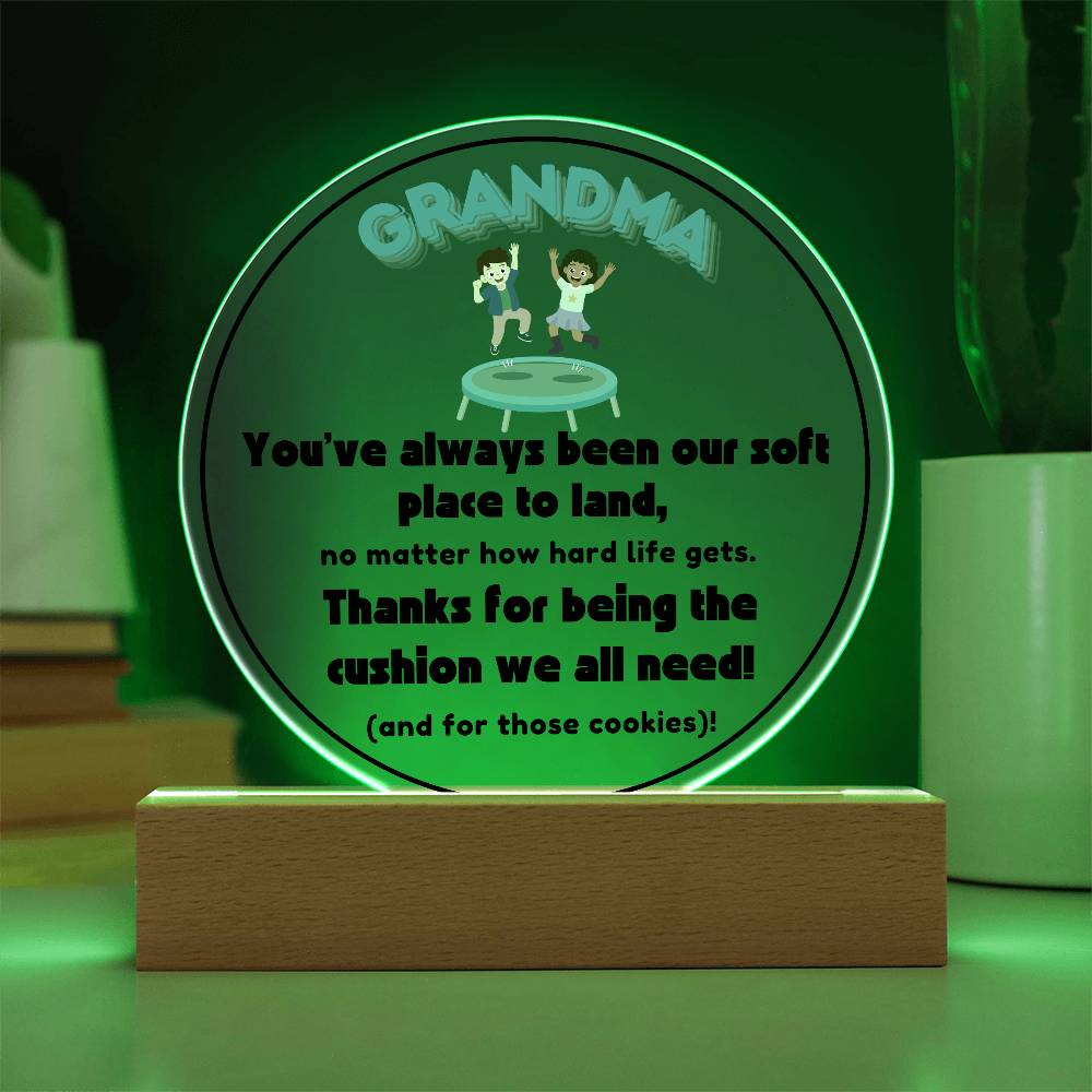 Grandparent day Gift for Nana | Thoughtful Cute present for Grammy who has everything | LED Acrylic Plaque | A Place to Land