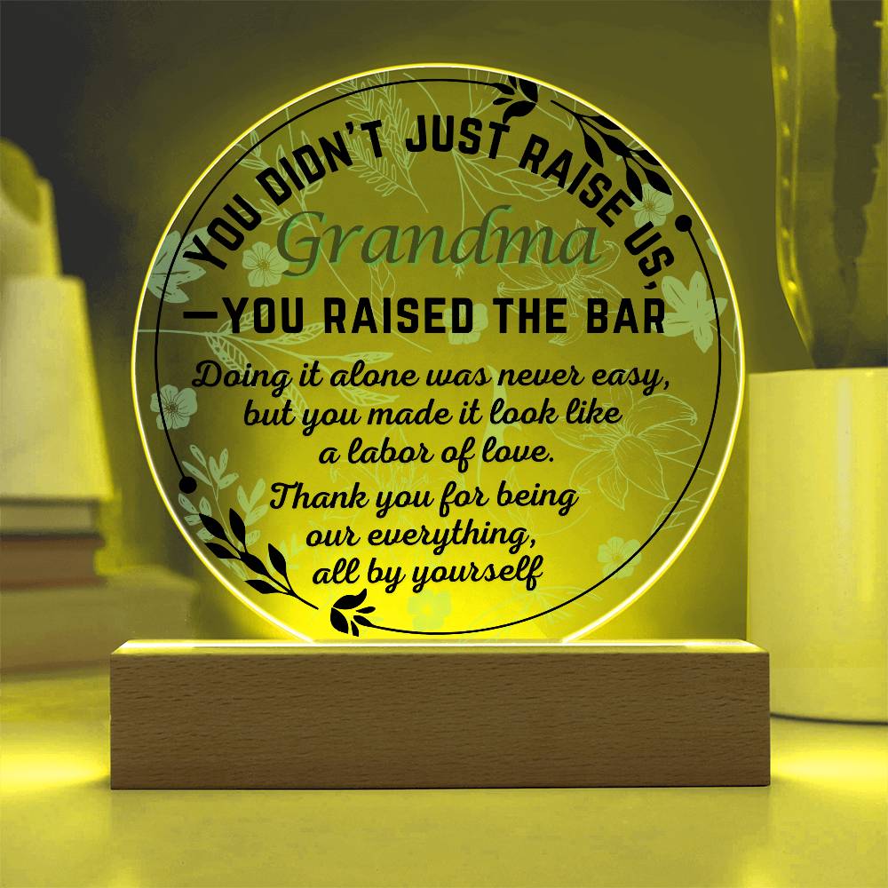 Single Grandma gift on Grandparent day for Nana | Thoughtful Cute present for Grammy who has everything | LED Acrylic Plaque | Raised the Bar